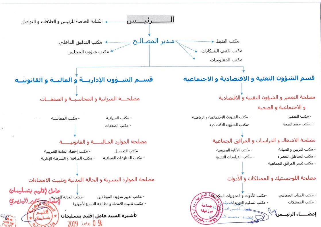 الهيكل-التنظيمي